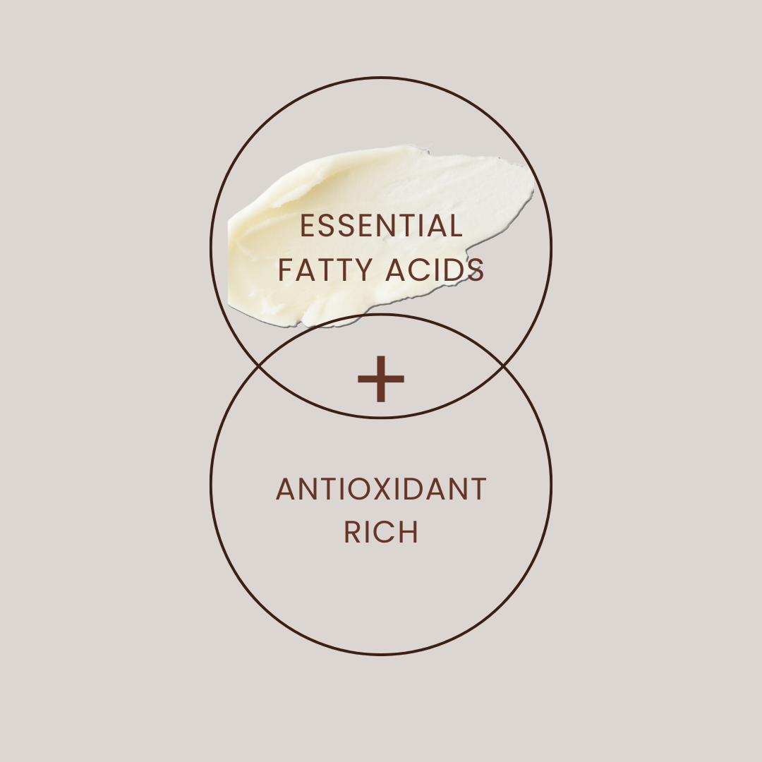 Barrier Balm – Intimate Protection & Nourishing Balm | Augusta Nordic